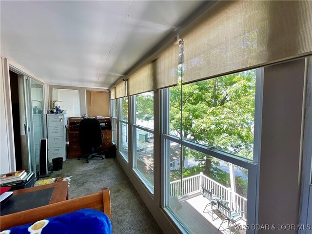 sunroom / solarium featuring healthy amount of natural light