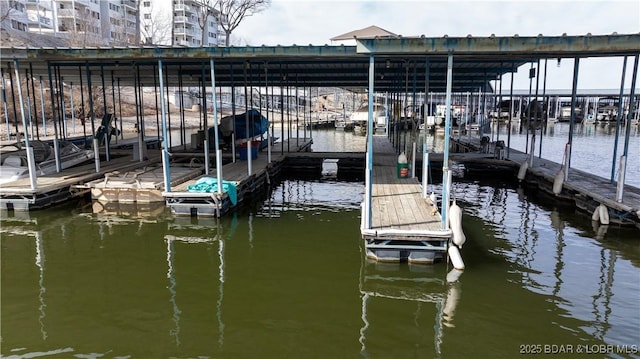 dock featuring a water view and boat lift