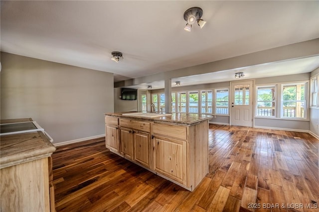 kitchen featuring a sink, dark wood finished floors, baseboards, and open floor plan