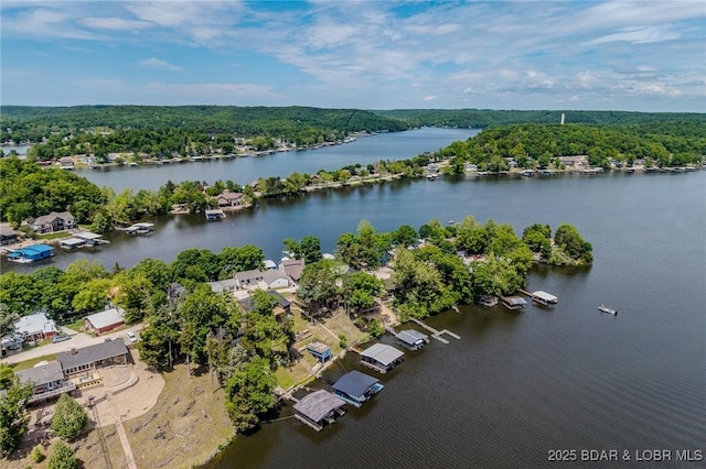 bird's eye view of a large body of water and a heavily wooded area