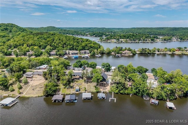 bird's eye view of a nearby body of water and a forest