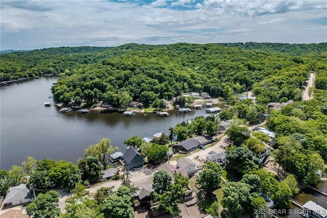 aerial view of a forest and a nearby body of water