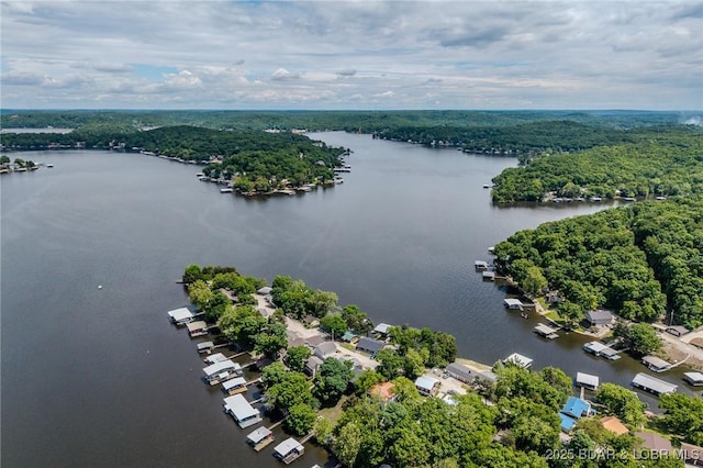 bird's eye view of a nearby body of water and a forest