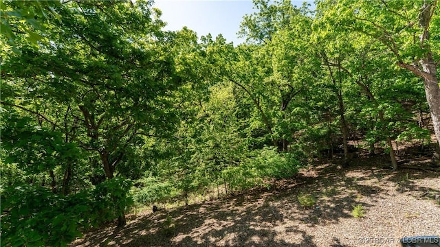 92 Camelot Dr, Camdenton, MO 65020 - photo 15