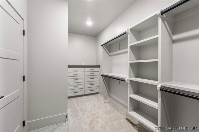walk in closet with light colored carpet