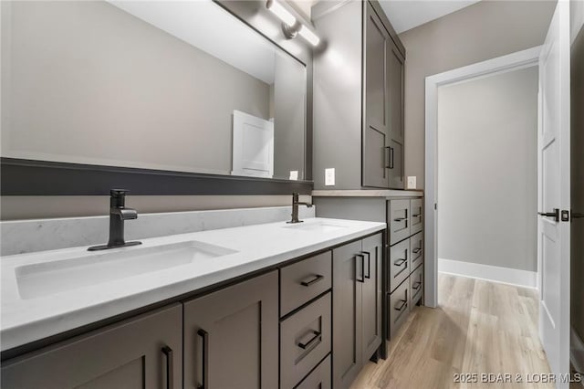 bathroom featuring wood finished floors and double vanity