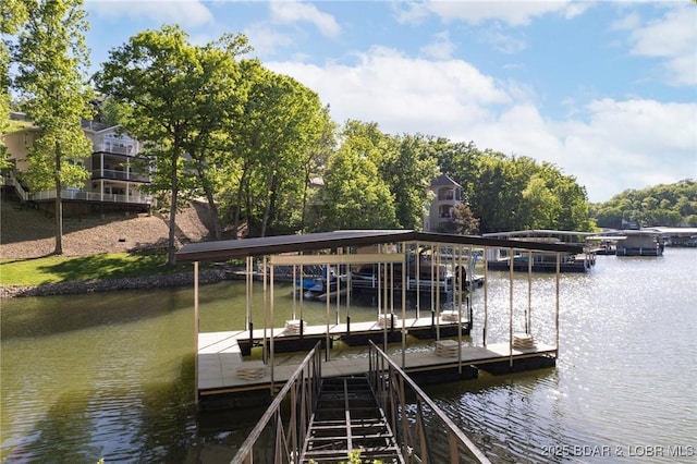 dock area with a water view