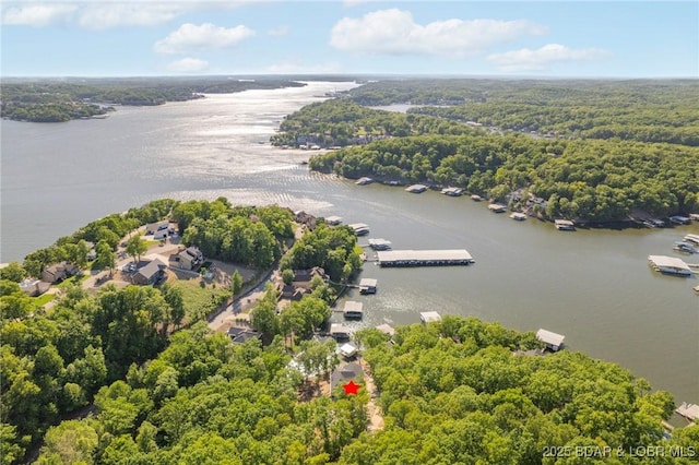 aerial view of a nearby body of water and a heavily wooded area