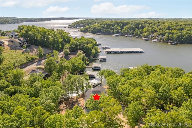 bird's eye view of a nearby body of water and a forest