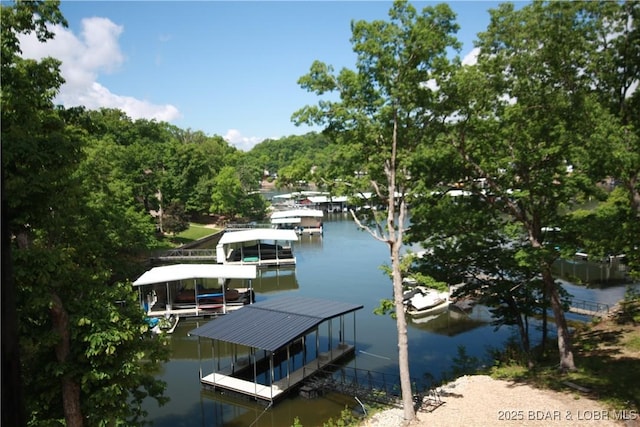 dock area with a water view