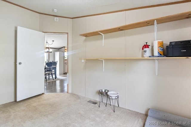 laundry room with carpet