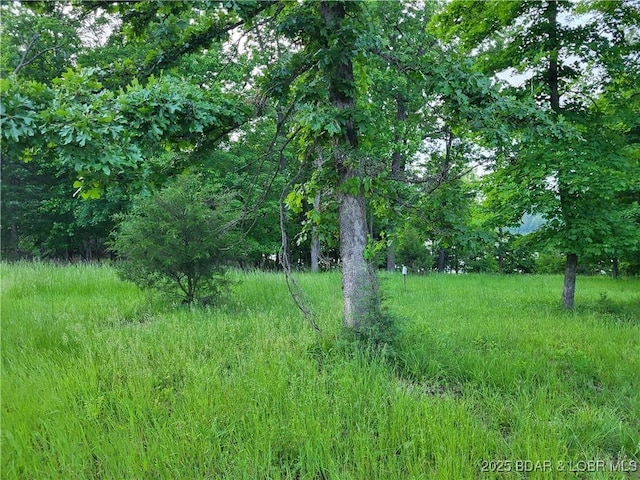 Emerald Hills Dr Unit 5Lot 2, Edwards, MO 65326