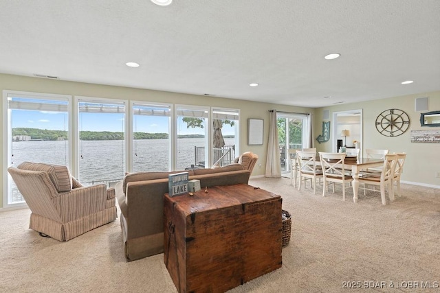 88 Winding Ashley Ln, Sunrise Beach, MO 65079 - photo 18