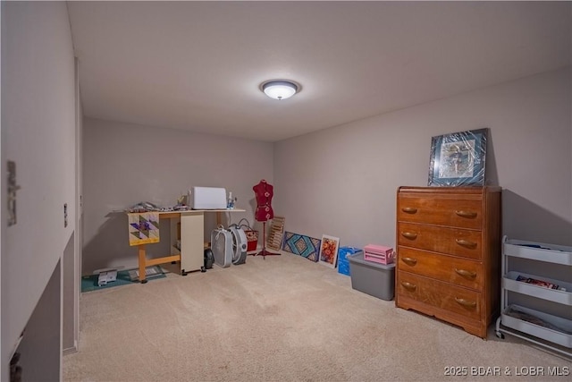 recreation room with carpet flooring