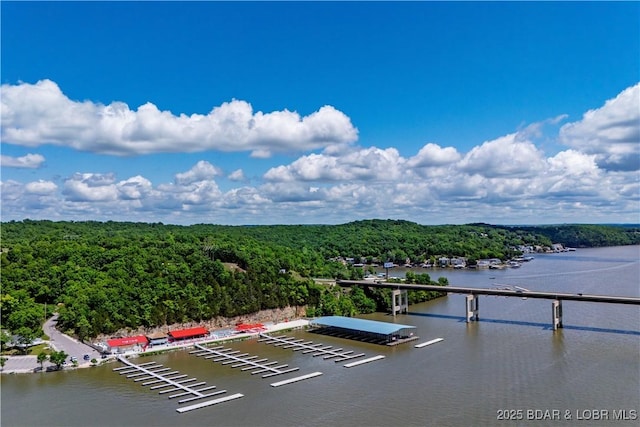 water view with a heavily wooded area
