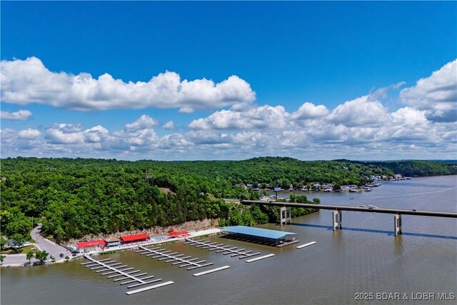 432 Jupiter Rd, Camdenton, MO 65020 - photo 42