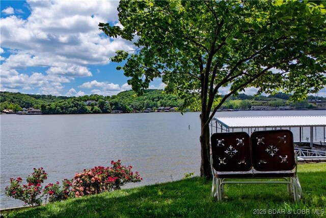 432 Jupiter Rd, Camdenton, MO 65020 - photo 45