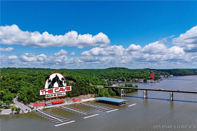 water view featuring a heavily wooded area