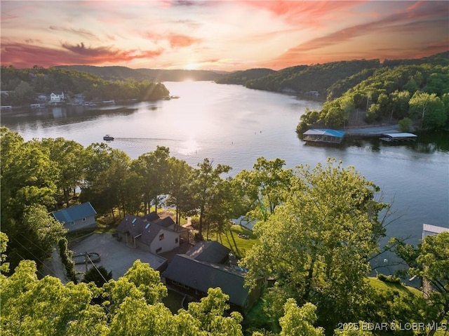 drone / aerial view of a large body of water and a forest
