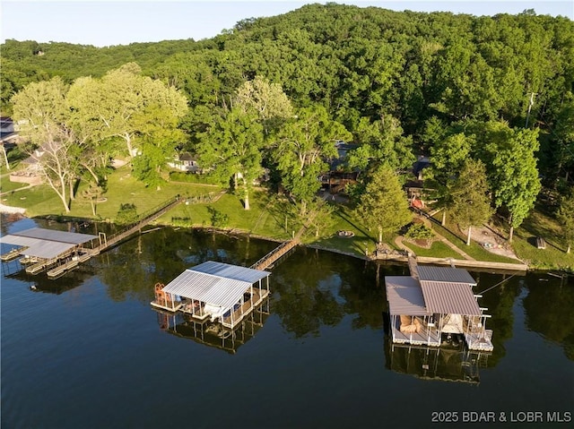 bird's eye view of a forest and a large body of water
