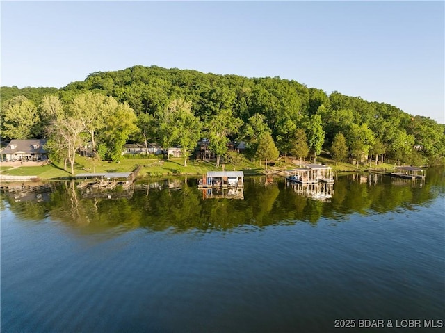 water view with a heavily wooded area
