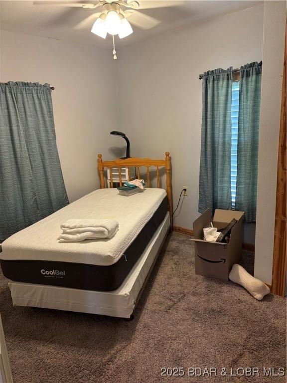 905 A St, Golden City, MO 64748 - photo 19