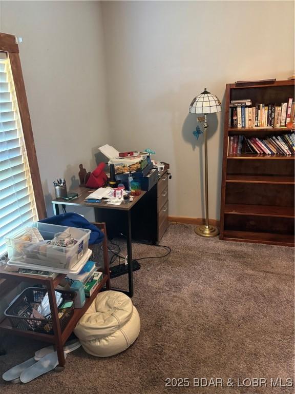 905 A St, Golden City, MO 64748 - photo 22