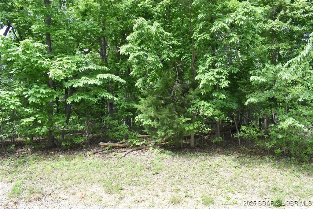 LOT181 Imperial Pt, Lake Ozark, MO 65049