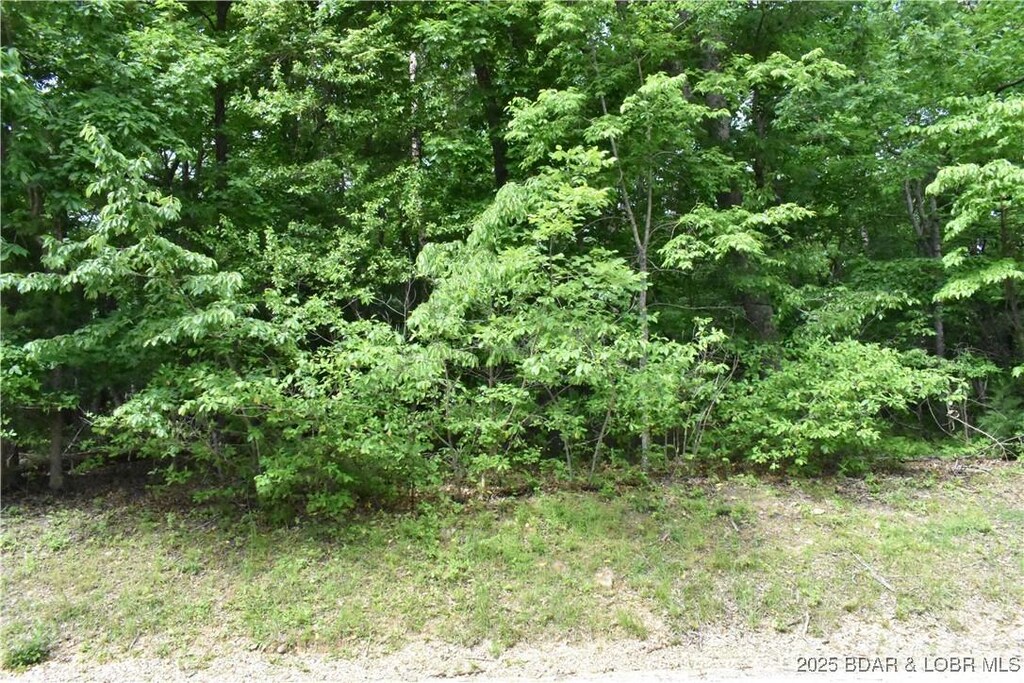 LOT181 Imperial Pt, Lake Ozark, MO 65049