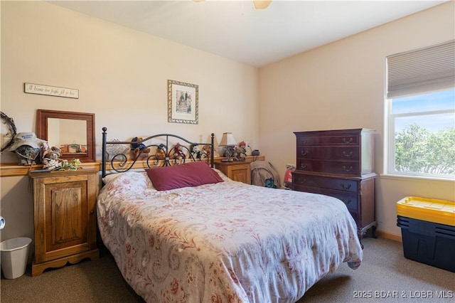 22714 Lake Ridge Dr, Warsaw, MO 65355 - bedroom featuring carpet and a ceiling fan