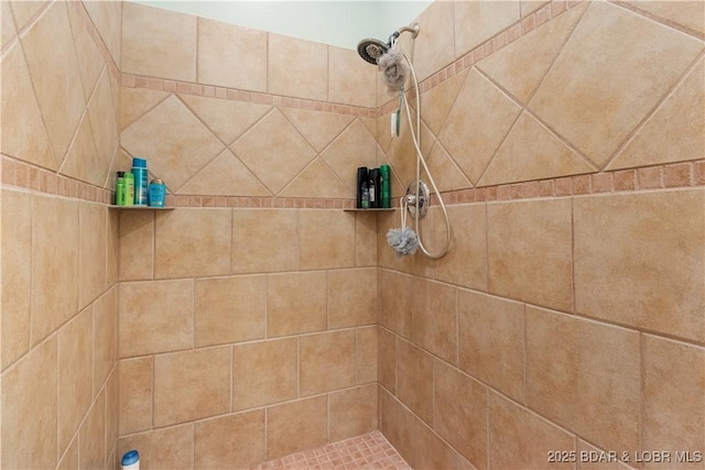 22714 Lake Ridge Dr, Warsaw, MO 65355 - bathroom with tiled shower