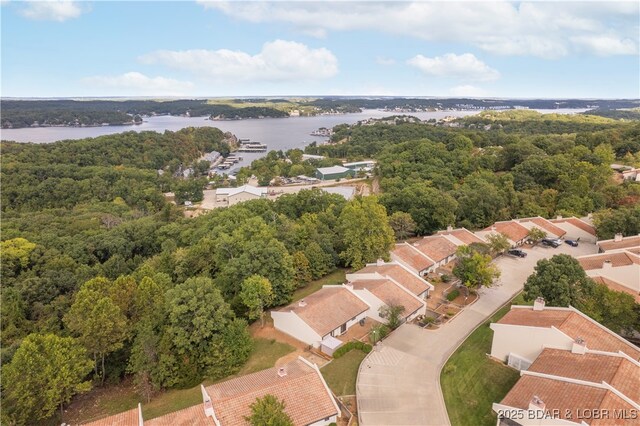 bird's eye view of a large body of water and a heavily wooded area