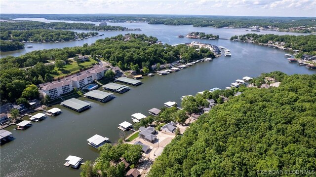 aerial view of a large body of water and a heavily wooded area