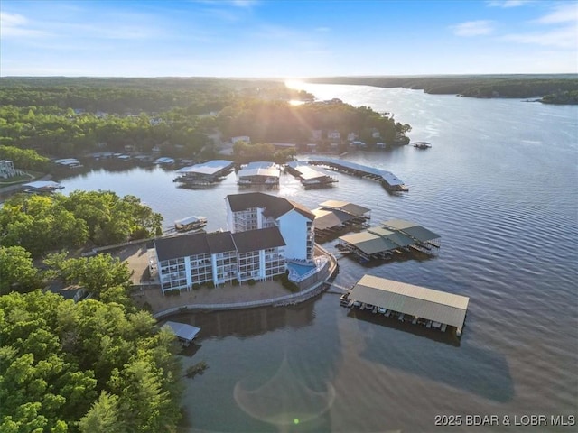 bird's eye view of a nearby body of water