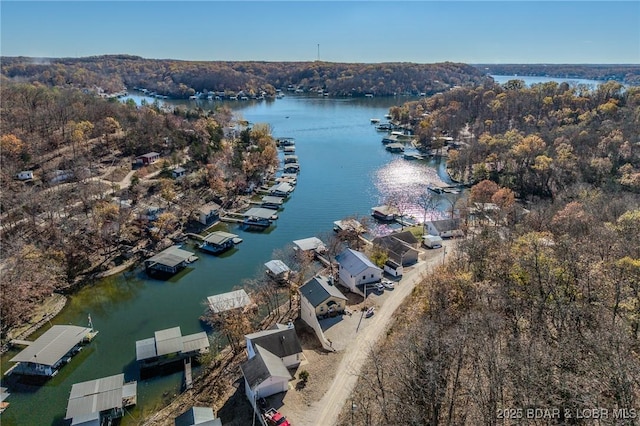 27085 Dixie Ln, Barnett, MO 65011 - bird's eye view of a large body of water and a heavily wooded area
