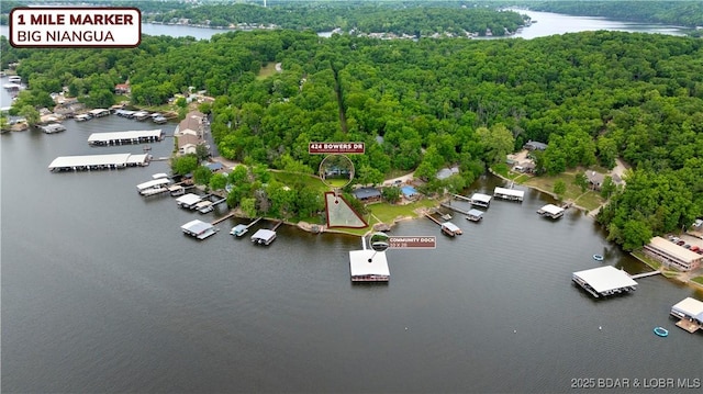 424 Bowers Dr, Camdenton, MO 65020 - aerial view of a nearby body of water and a forest