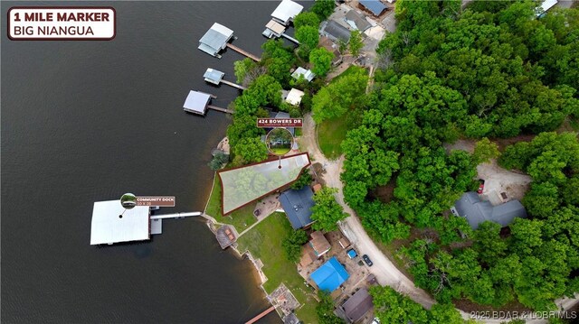 424 Bowers Dr, Camdenton, MO 65020 - view of property location featuring a large body of water