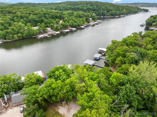 12 Mimosa Rd, Rocky Mount, MO 65072 - bird's eye view of a large body of water and a forest