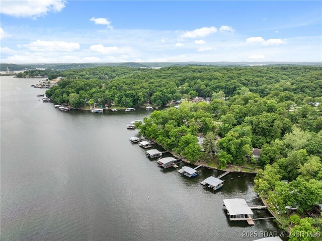 12 Mimosa Rd, Rocky Mount, MO 65072 - bird's eye view of a nearby body of water and a heavily wooded area