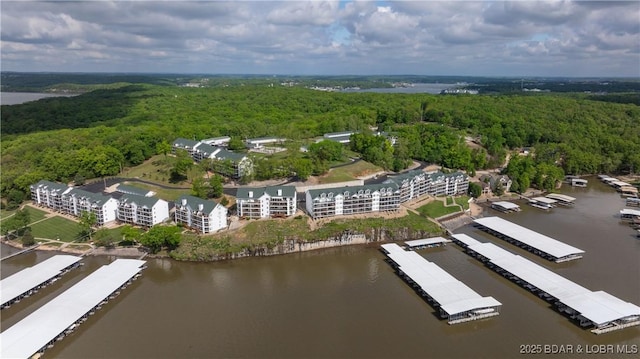 drone / aerial view of a forest and a large body of water