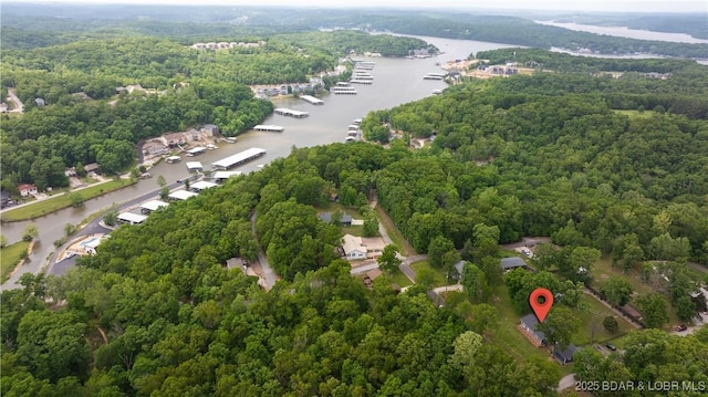 view of property location featuring a large body of water, a heavily wooded area, and a marina