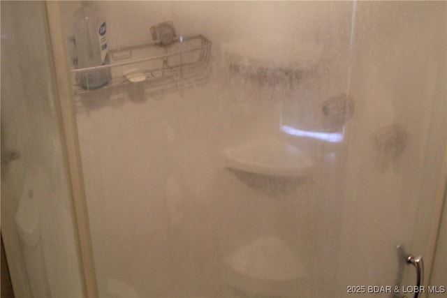 bathroom view of a shower stall