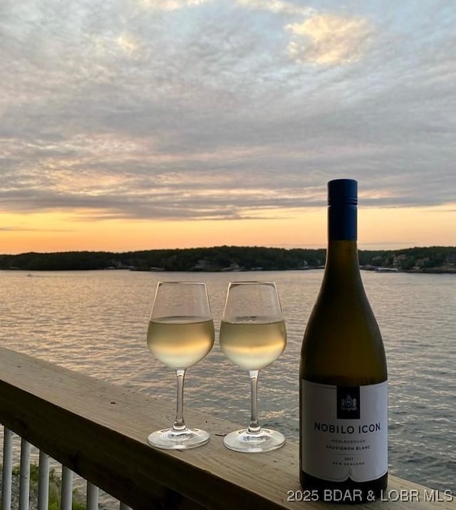 1481 Ledges Dr Unit 1019, Osage Beach, MO 65065 - water view