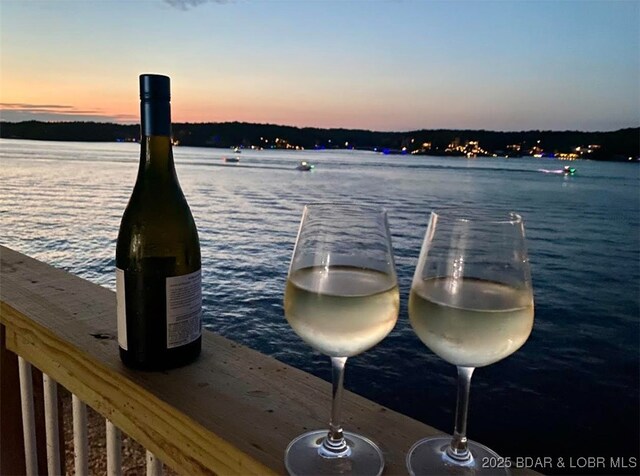 1481 Ledges Dr Unit 1019, Osage Beach, MO 65065 - dock with a water view