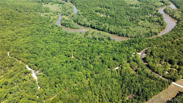 115 Hacksaw Ln, Camdenton, MO 65020 - view of property location featuring a forest