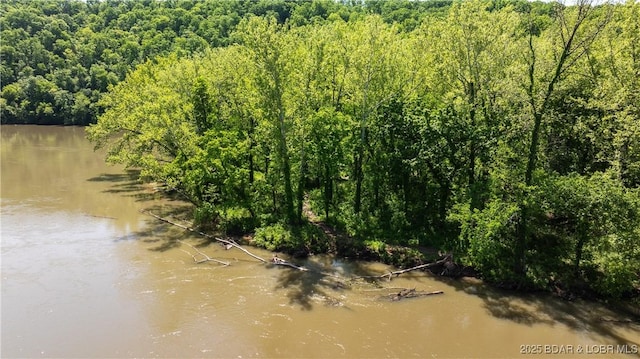 115 Hacksaw Ln, Camdenton, MO 65020 - water view featuring a forest