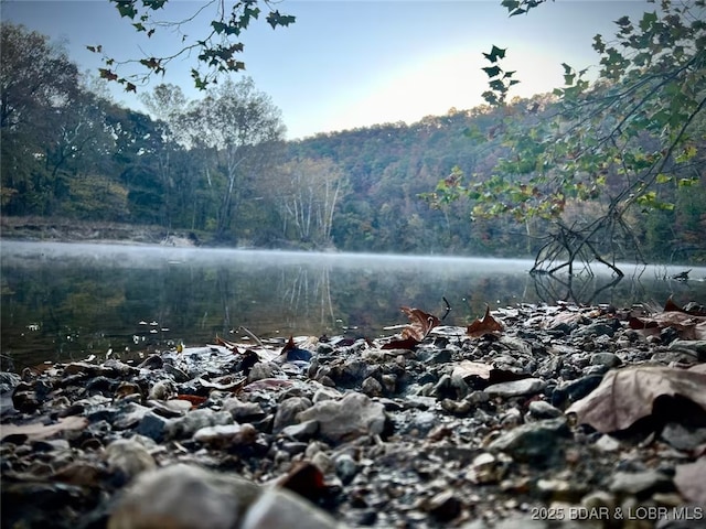 115 Hacksaw Ln, Camdenton, MO 65020 - water view with a heavily wooded area