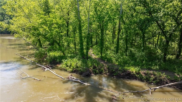 115 Hacksaw Ln, Camdenton, MO 65020 - water view