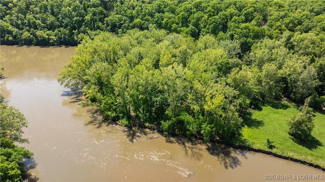 115 Hacksaw Ln, Camdenton, MO 65020 - drone / aerial view of a nearby body of water