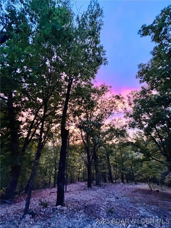 115 Hacksaw Ln, Camdenton, MO 65020 - view of nature at dusk